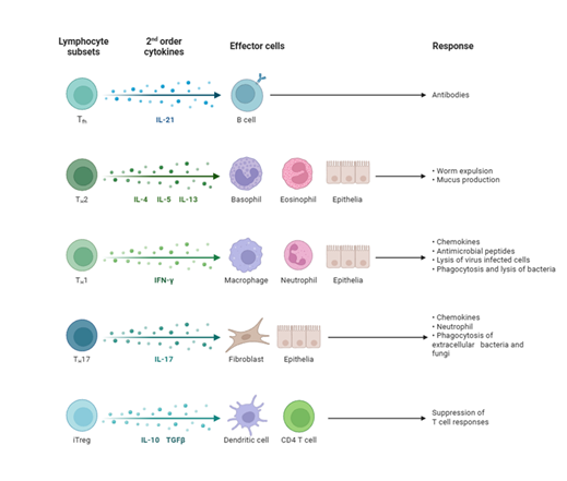 fortune-biomass-feedstock