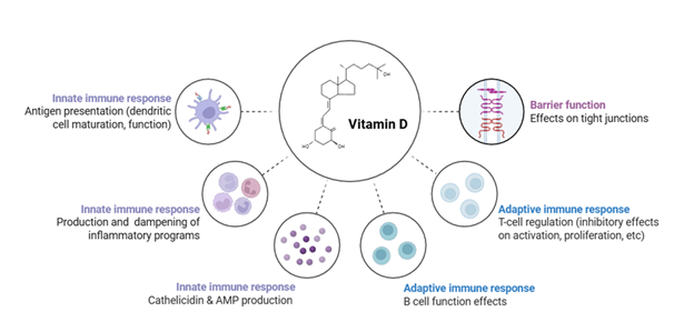 fortune-biomass-feedstock