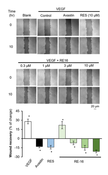 fortune-biomass-feedstock