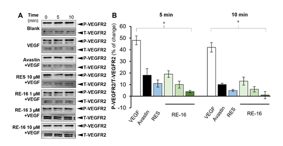 fortune-biomass-feedstock