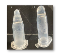 fortune-biomass-feedstock