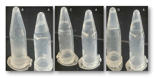fortune-biomass-feedstock