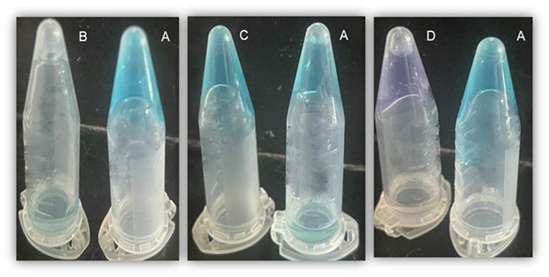 fortune-biomass-feedstock