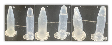fortune-biomass-feedstock