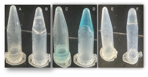 fortune-biomass-feedstock
