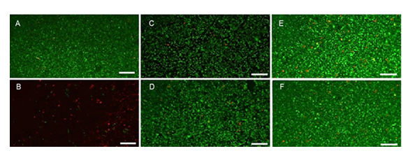 fortune-biomass-feedstock