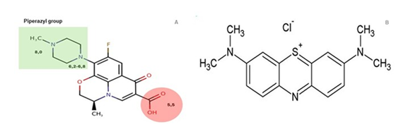 fortune-biomass-feedstock