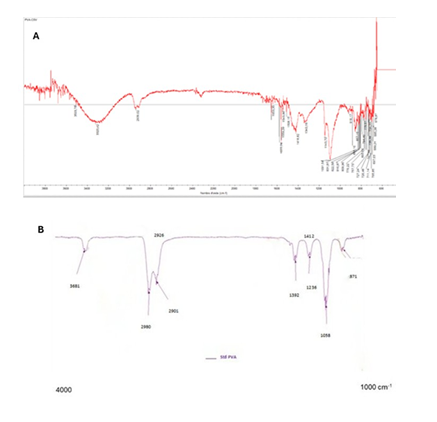fortune-biomass-feedstock