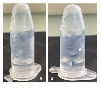fortune-biomass-feedstock