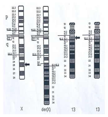 fortune-biomass-feedstock