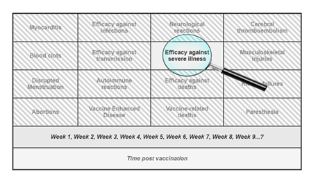 fortune-biomass-feedstock