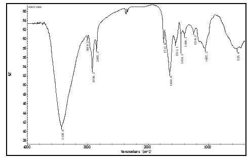 fortune-biomass-feedstock