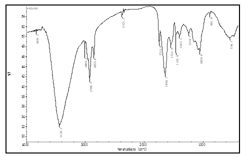 fortune-biomass-feedstock fortune-biomass-feedstock