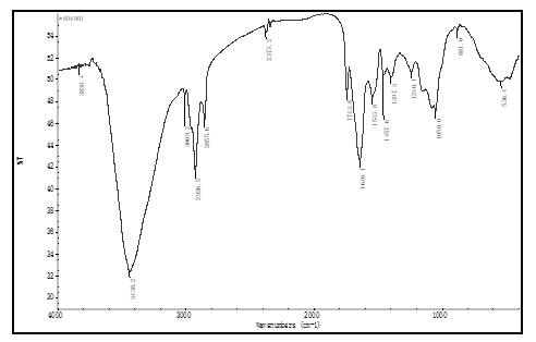 fortune-biomass-feedstock