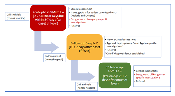 fortune-biomass-feedstock