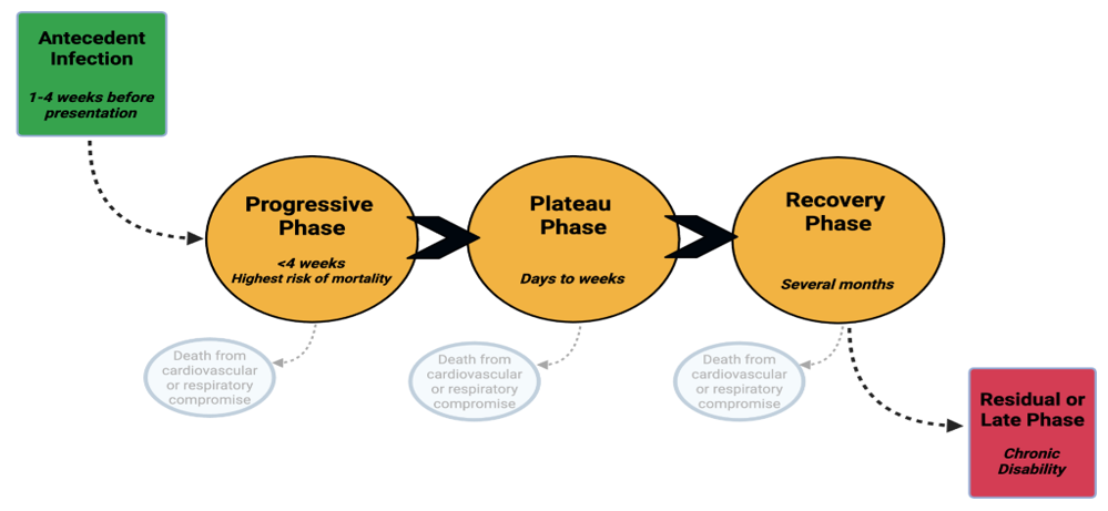 fortune-biomass-feedstock