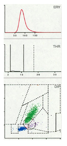 fortune-biomass-feedstock fortune-biomass-feedstock