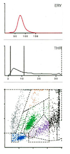 fortune-biomass-feedstock fortune-biomass-feedstock