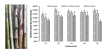 fortune-biomass-feedstock