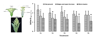 fortune-biomass-feedstock