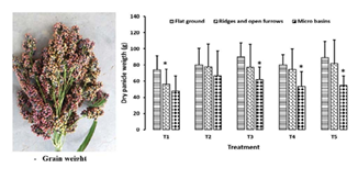 fortune-biomass-feedstock