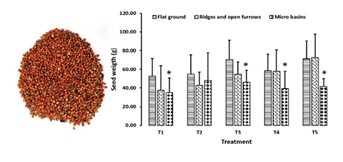 fortune-biomass-feedstock