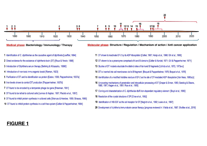 fortune-biomass-feedstock
