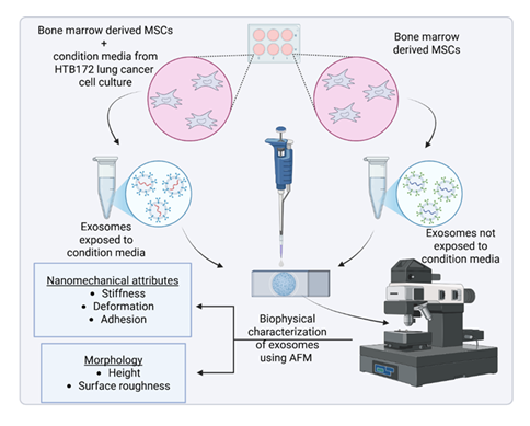fortune-biomass-feedstock fortune-biomass-feedstock