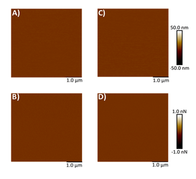 fortune-biomass-feedstock fortune-biomass-feedstock