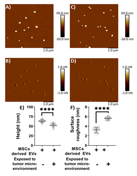 fortune-biomass-feedstock fortune-biomass-feedstock