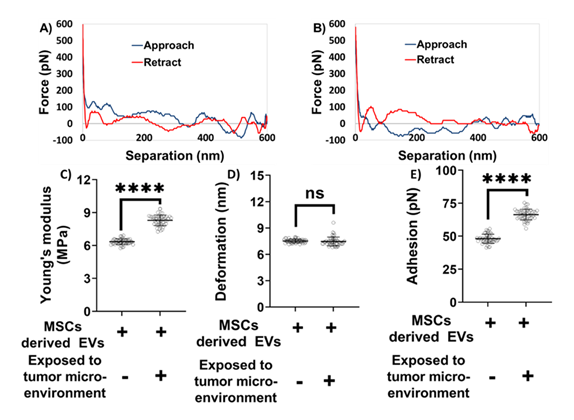 fortune-biomass-feedstock fortune-biomass-feedstock