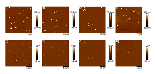 fortune-biomass-feedstock fortune-biomass-feedstock