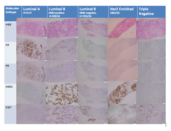 fortune-biomass-feedstock
