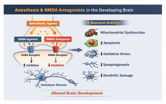 fortune-biomass-feedstock