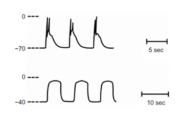 fortune-biomass-feedstock fortune-biomass-feedstock
