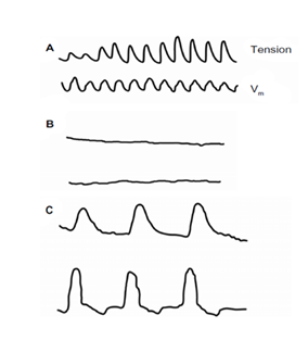 fortune-biomass-feedstock fortune-biomass-feedstock