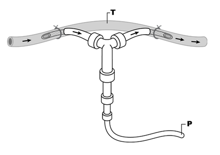 fortune-biomass-feedstock fortune-biomass-feedstock