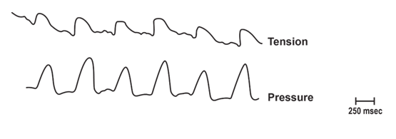 fortune-biomass-feedstock fortune-biomass-feedstock