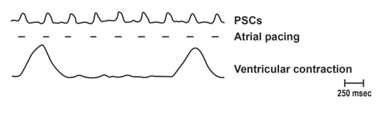 fortune-biomass-feedstock fortune-biomass-feedstock