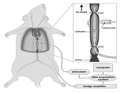 fortune-biomass-feedstock fortune-biomass-feedstock