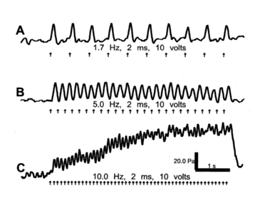 fortune-biomass-feedstock fortune-biomass-feedstock
