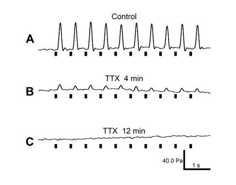 fortune-biomass-feedstock fortune-biomass-feedstock
