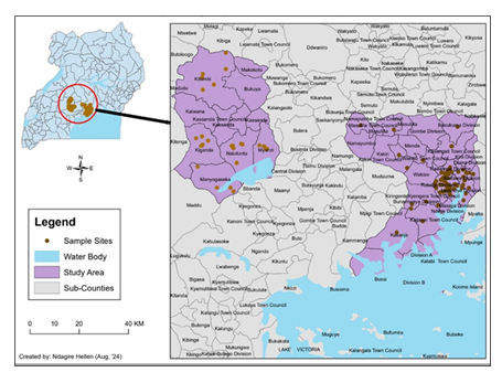 fortune-biomass-feedstock