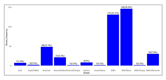 fortune-biomass-feedstock