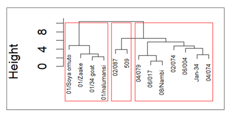 fortune-biomass-feedstock