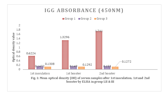 fortune-biomass-feedstock