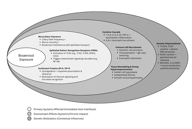 fortune-biomass-feedstock