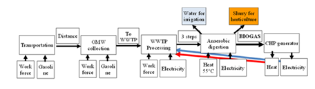 fortune-biomass-feedstock