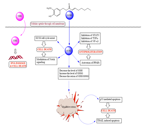 fortune-biomass-feedstock