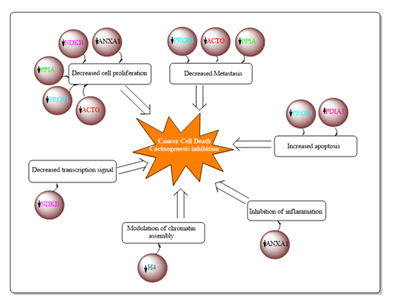 fortune-biomass-feedstock